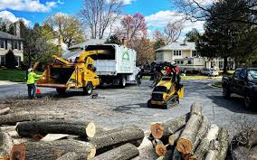 Grass Overseeding in Shorewood, IL